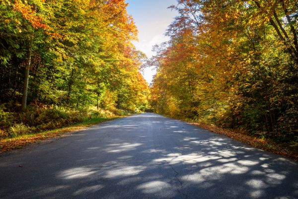 Cost of Blacktop Replacement in Sun Prairie